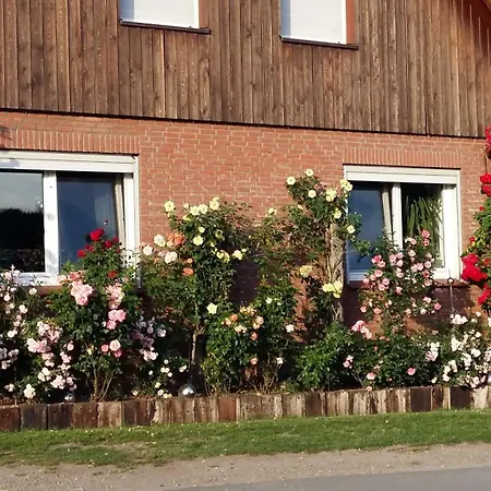 Ferienwohnung Schmitz Walsrode Exterior photo